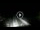 Webcam in Lido di Ostia, 8.5 km