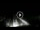 Webcam in Lido di Ostia, 13.7 mi away