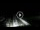 Webcam in Lido di Ostia, 15.8 km