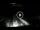 Webcam in Lido di Ostia, 13.7 mi away