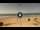 Webcam in Conil de la Frontera, 7.5 mi away