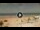 Webcam in Conil de la Frontera, 122.7 mi away
