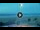 Webcam in Conil de la Frontera, 68.2 km
