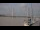 Webcam in Bordeaux, 0 mi away