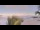 Webcam in Saint-Paul, 273 km