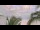 Webcam in Saint-Paul, 103.5 mi away