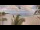 Webcam in Saint-Paul, 14 km entfernt