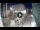Webcam in Valletta, 1.5 km entfernt