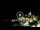 Webcam in Portovenere, 5.1 km