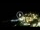 Webcam in Portovenere, 0.2 mi away