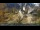 Webcam in Badia, 4.2 km
