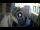 Webcam in Valletta, 0.1 mi away
