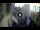 Webcam in La Valette, 1.7 km
