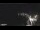 Webcam in Monterosso al Mare (Cinque Terre), 9.9 km