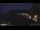 Webcam in Monterosso al Mare (Cinque Terre), 9.9 km