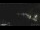 Webcam in Monterosso al Mare (Cinque Terre), 5.2 mi away