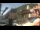 Webcam in Vernazza (Cinque Terre), 7.1 km