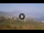Webcam in El Sauzal (Teneriffa), 12.8 km entfernt