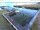 Webcam in Wieck a. Darß, 3.7 mi away