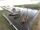 Webcam in Wieck a. Darß, 12.2 km