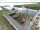Webcam in Wieck a. Darß, 13 mi away