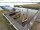 Webcam in Wieck a. Darß, 23.9 mi away