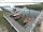 Webcam in Wieck a. Darß, 34.7 km
