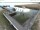 Webcam in Wieck a. Darß, 58.2 km