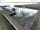 Webcam in Wieck a. Darß, 13.4 mi away