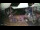Webcam in West End (Roatán), 181.8 mi away