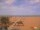 Webcam in Rimini, 1.2 km