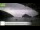 Webcam in Palaiokastrítsa (Korfu), 74 km entfernt