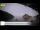 Webcam in Palaiokastrítsa (Korfu), 78.9 km entfernt