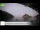 Webcam in Palaiokastrítsa (Corfu), 2.9 mi away