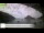 Webcam in Palaiokastrítsa (Korfu), 78.9 km entfernt