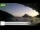 Webcam in Palaiokastrítsa (Corfu), 0.2 mi away