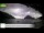 Webcam in Palaiokastrítsa (Corfu), 18.5 km