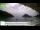 Webcam in Palaiokastrítsa (Korfu), 20.6 km entfernt