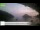Webcam in Palaiokastrítsa (Korfu), 20.1 km