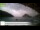 Webcam in Palaiokastrítsa (Corfu), 23.5 mi away