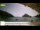 Webcam in Palaiokastrítsa (Korfu), 57.7 km entfernt