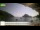 Webcam in Palaiokastrítsa (Corfu), 0.2 mi away