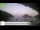 Webcam in Palaiokastrítsa (Corfu), 18.5 km