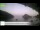 Webcam in Palaiokastrítsa (Corfú), 13.2 km