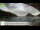 Webcam in Palaiokastrítsa (Korfu), 73.9 km entfernt