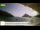 Webcam in Palaiokastrítsa (Corfu), 6.6 mi away