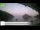 Webcam in Palaiokastrítsa (Corfu), 5.1 mi away