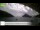 Webcam in Palaiokastrítsa (Korfu), 13.2 km