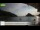 Webcam in Palaiokastrítsa (Corfu), 0.6 km