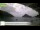 Webcam in Palaiokastrítsa (Corfou), 15.7 km